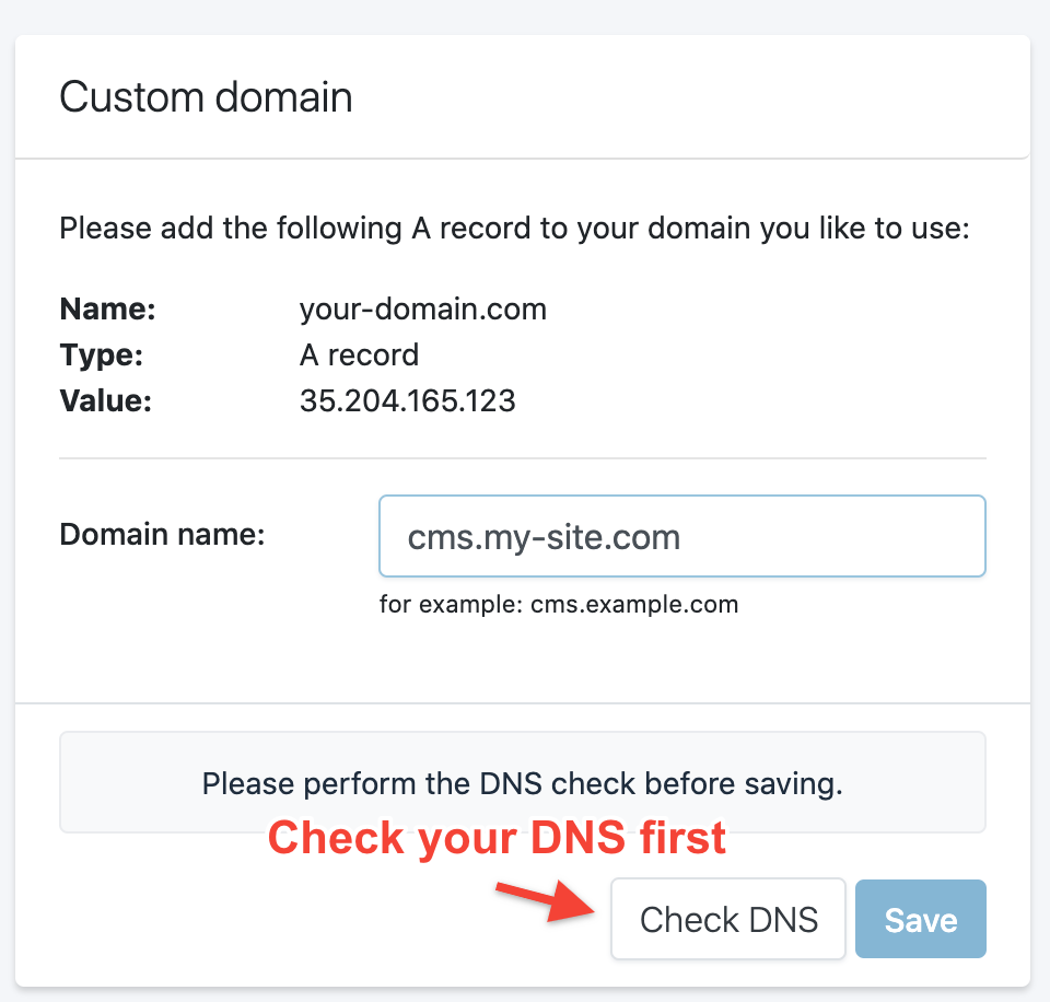 Check DNS